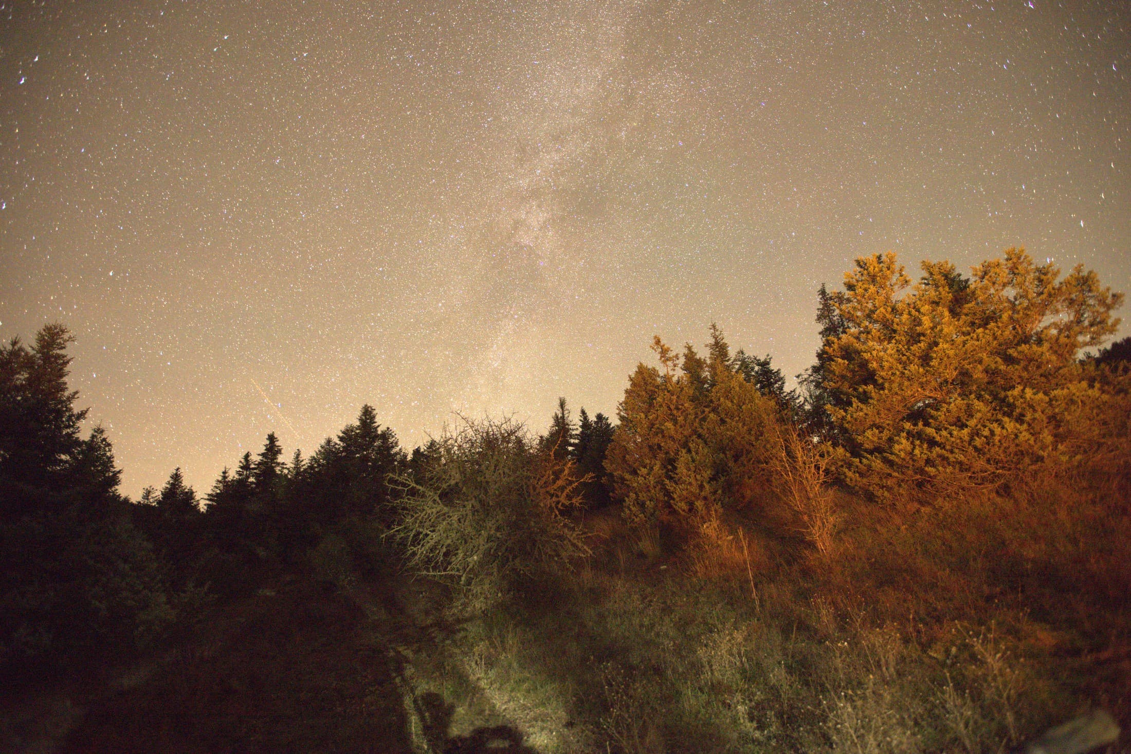 stargazing-in-sparta