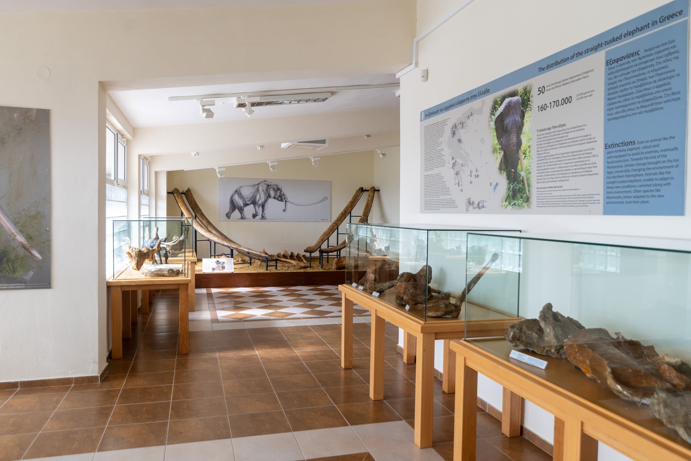 the-museums-of-grevena