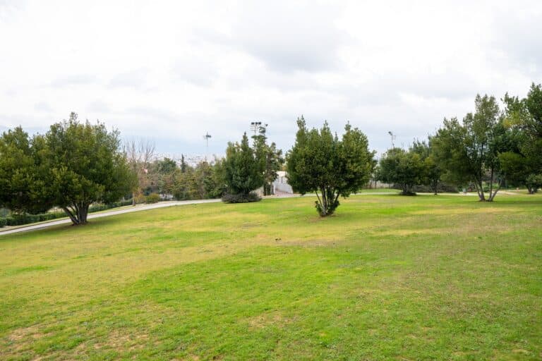Parque Veikou